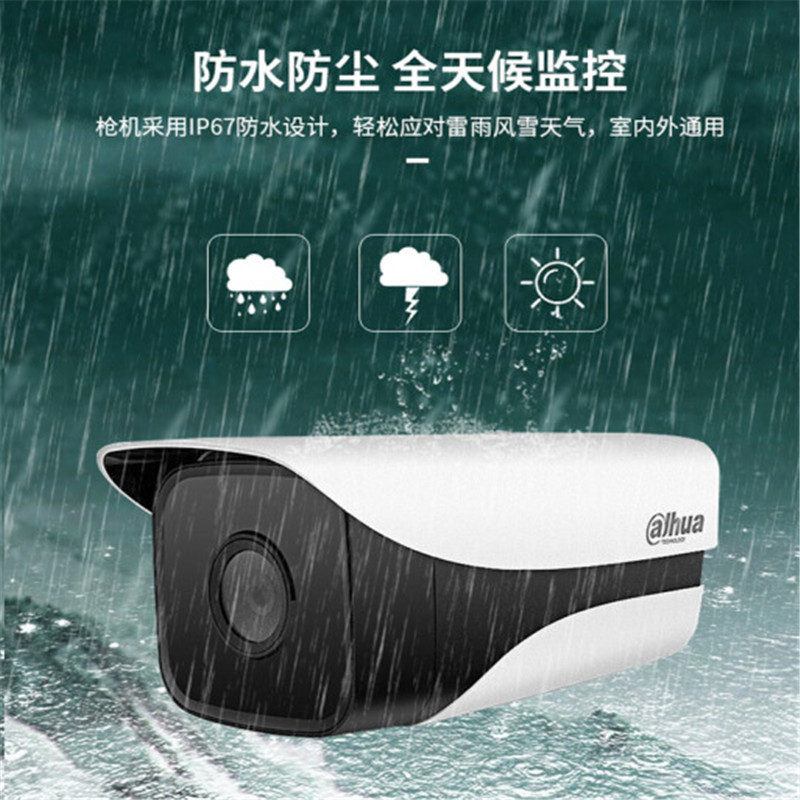 大华(alhua)DH-IPC-HFW2433M-I1 监控摄像头 400万星光级 POE网线供电高清夜视焦距3.6MM