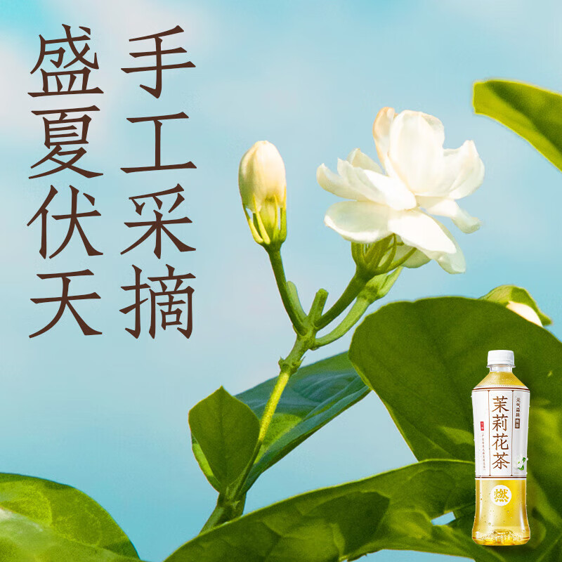 君道贵酿 元气森林燃茶茉莉花茶无糖茶饮料茉莉花茶整箱500mLX15瓶高清大图