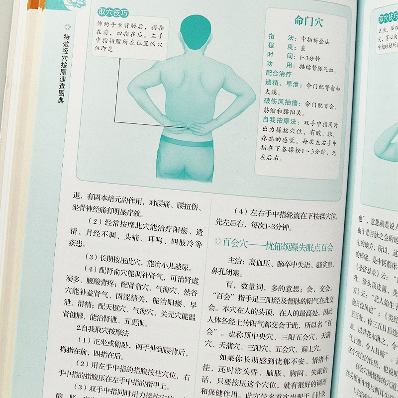 [醉染正版]经穴按摩速查图典 人体经络穴位图 按摩穴位书籍图解手法大穴常见病经络穴位按摩书 中医养生书籍大全正版 中医经高清大图