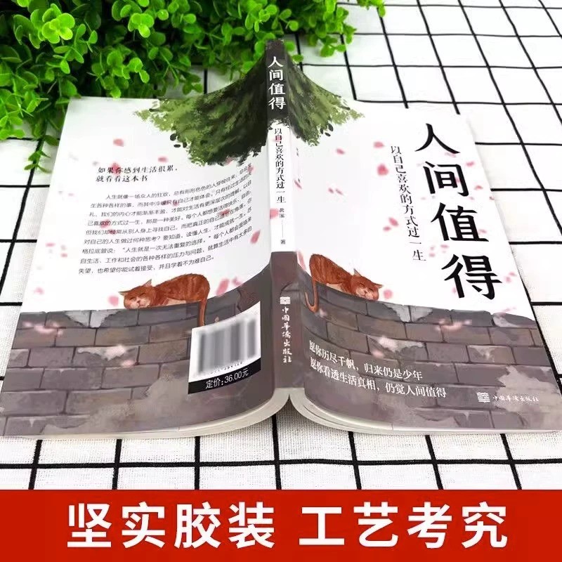 人间值得 [正版]人间值得以自己喜欢的方式过一生人生愿你遍历山河仍觉人间值得正能量青春成长不烦恼初高中人生哲学心理学治愈高清大图