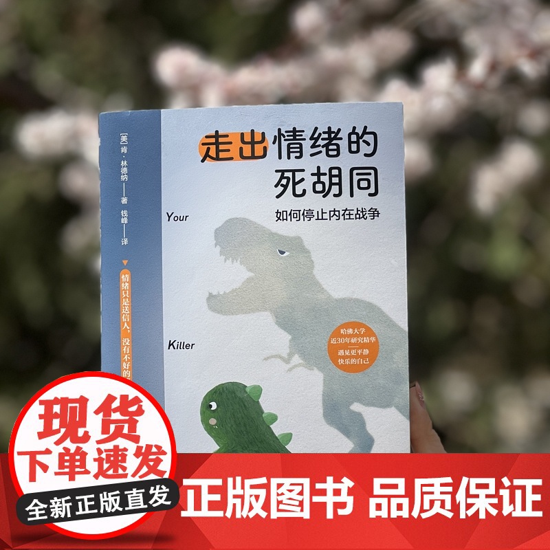 走出情绪的死胡同(如何停止内在战争)情绪控制自我疗愈正能量励志心理类书籍高清大图