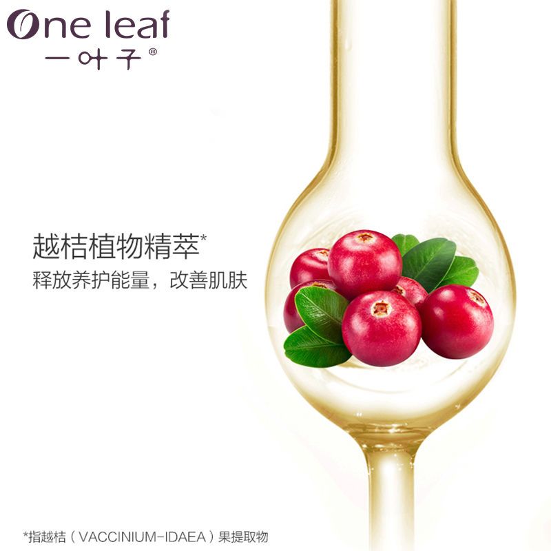一叶子精油多效精华液抗皱紧致原液面部收缩毛孔肌底液30ml学生 一叶子精油多效精华液单瓶
