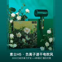 素士(SOOCAS)吹风机 恒温护发负离子速干电吹风1800W大功率家用吹风筒H5梵高绿礼盒版