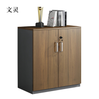 文灵办公室矮柜储物柜文件柜2门