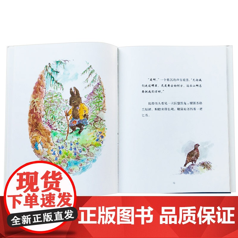 比得兔彼得兔的新故事硬壳精装图画书蒲蒲兰绘本适合4岁以上亲子课外阅读书籍正版童书高清大图