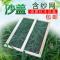中蜂/意蜂通用蜂箱沙盖(1个) 蜂箱沙盖副盖中蜂意蜂标准蜂箱杉木纱网盖含纱网蜜蜂蜂箱养蜂工具