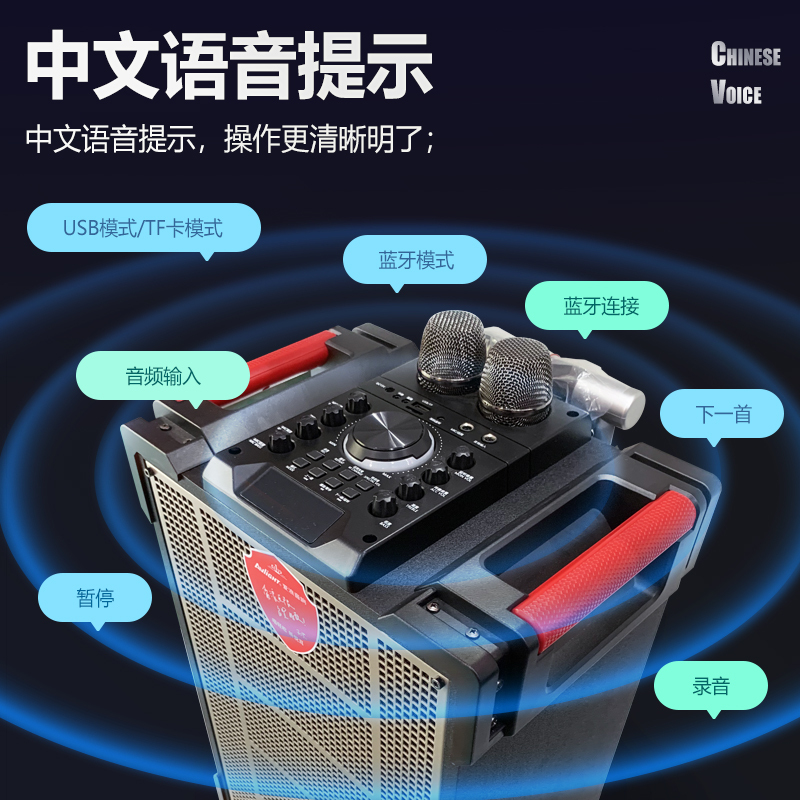 爱浪(AvliGHT) DX20-10pro户外广场舞音响直播K歌拉杆移动便携一体式大功率音箱抖音快手网红 10吋