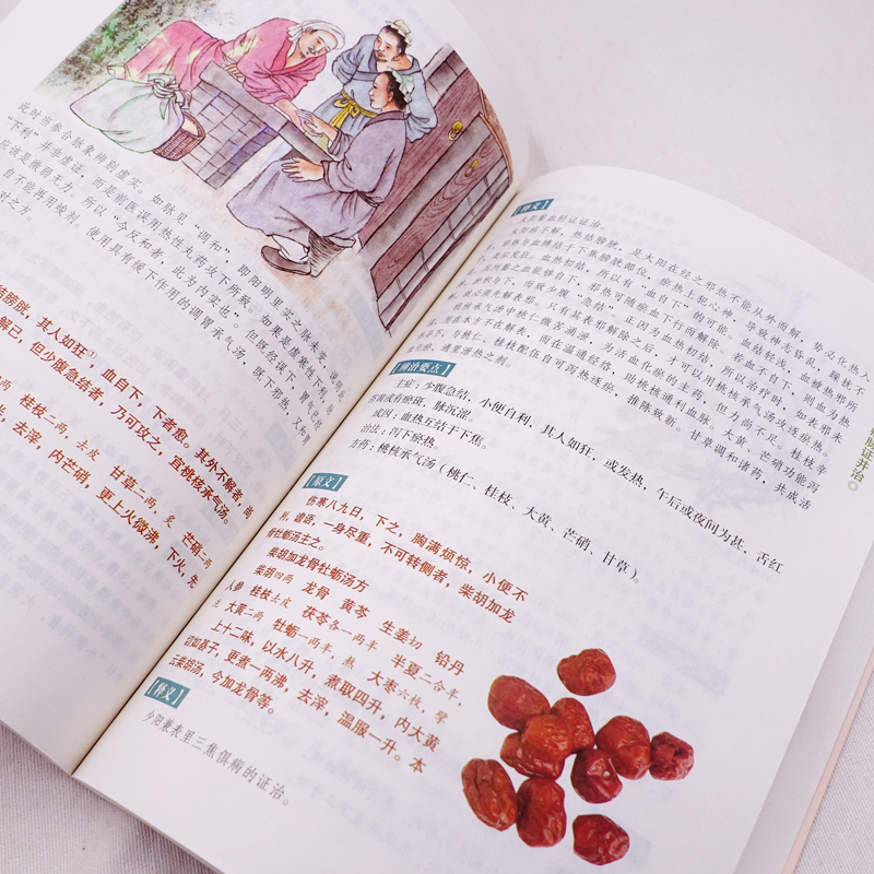 伤寒论 [正版]伤寒论张仲景原著中医书籍大全彩图典藏版含原文注释译文杂病论医药大全中医书籍中草药彩图大全书中医入门书籍中