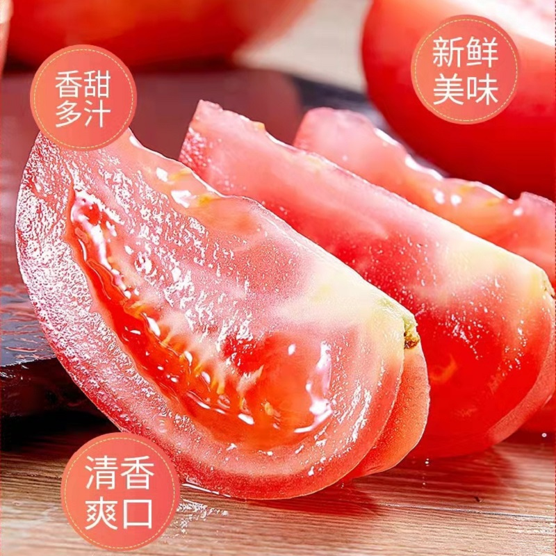 [五个农民]普罗旺斯西红柿 番茄5斤大果沙瓤番茄新鲜生吃蔬菜