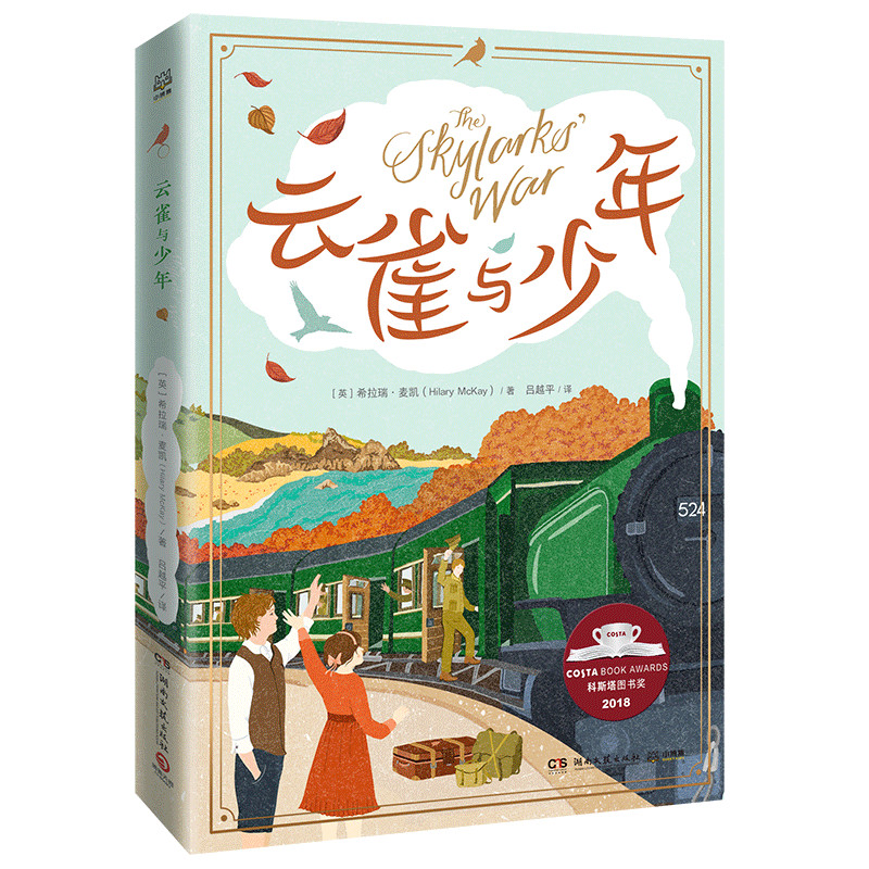 正版新书]云雀与少年希拉瑞·麦凯9787540495275高清大图
