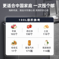星星(XINGX)100升家用小型冷藏冷冻转换单温卧式冰柜厨房商用保鲜设备超市便利店冷柜节能微霜BD/BC-100KE
