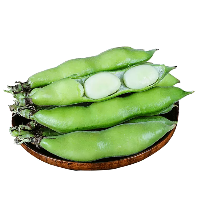 [西沛生鲜]云南新鲜蚕豆 5斤 农家带壳生本地罗汉兰花胡豆青豆荚蔬菜整箱
