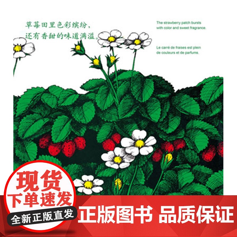 草莓硬壳精装图画书启发精选绘本科普草莓整个生命中的成长过程科普草莓整个生命中的成长过程3岁以上亲子课外阅读书籍正版童书高清大图