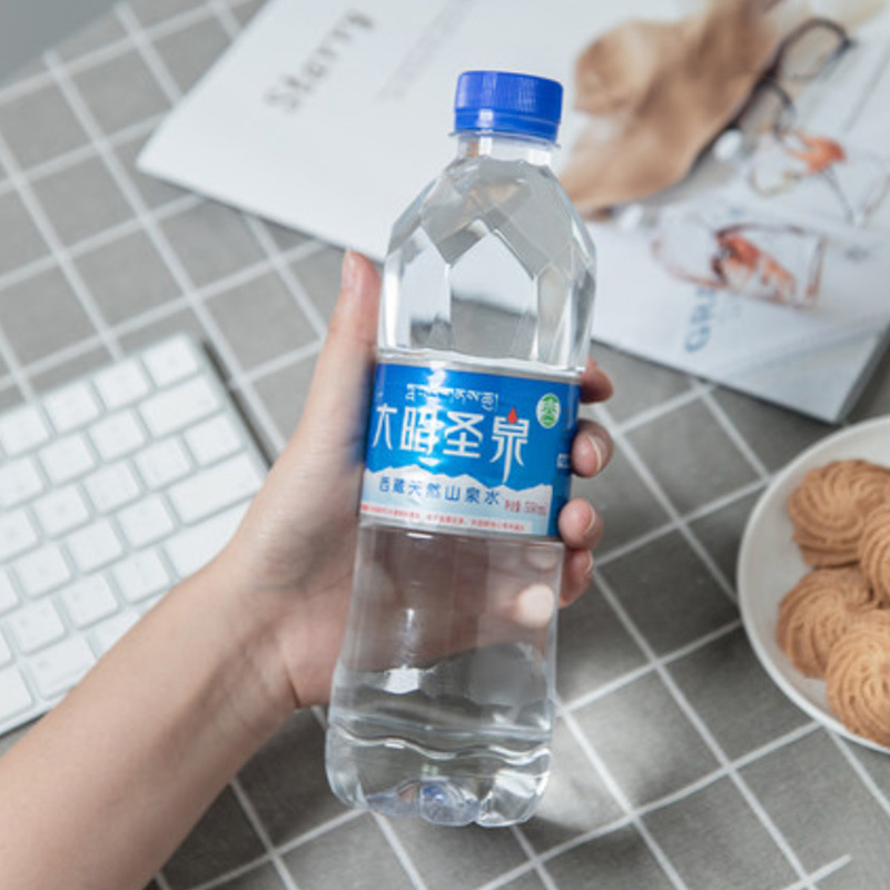 [中华特色馆]拉萨直发 大昭圣泉 纯净水饮用水矿泉水550ML*24瓶整装