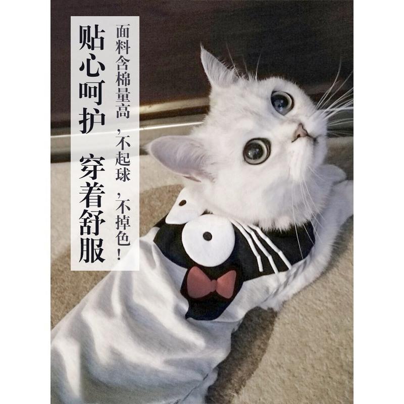 (2件装)可爱背心福袋 S-建议3-6斤宠物 猫咪衣服夏季英短蓝猫宠物布偶猫小猫薄款猫猫背心幼猫夏天防掉毛