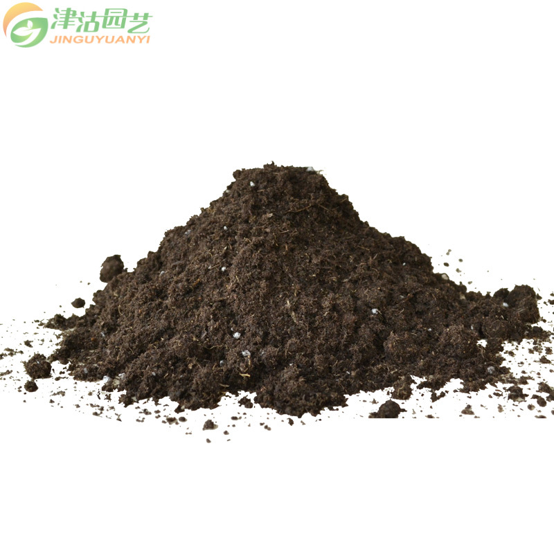 津沽园艺 园艺用品 栽培基质 植物营养土 保水透气效果好 植物通用多肉植物营养土家庭装 通用型6L 送工具三件套