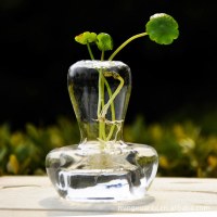 茗轩欧式玻璃花瓶 蘑菇花器 水培工艺 窗台装饰HP15