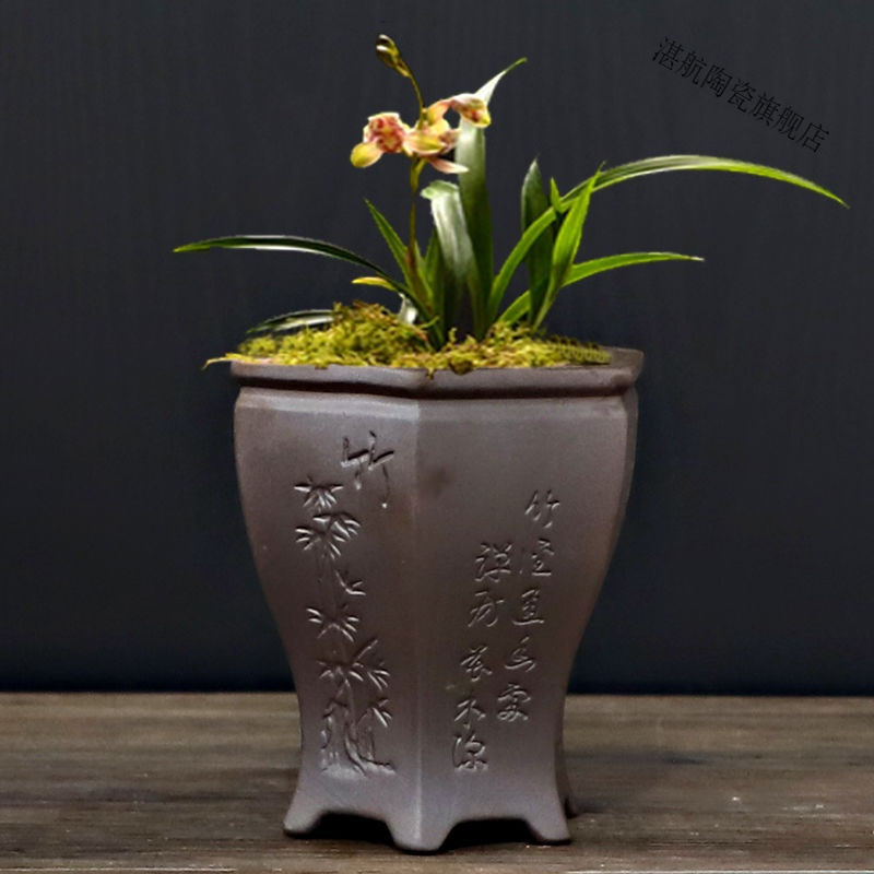 多肉菖蒲盆粗陶透气简约六方四方盆有孔绿植兰花套装花盆紫砂大号