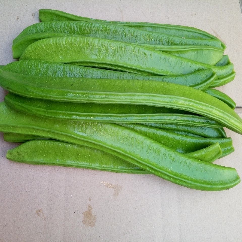 刀豆新鲜新鲜刀豆江西农家自种时令蔬菜刀豆剁椒原料刀把豆参数