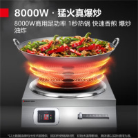 德玛仕(DEMASHI)IH-TC-8000NC商用电磁炉