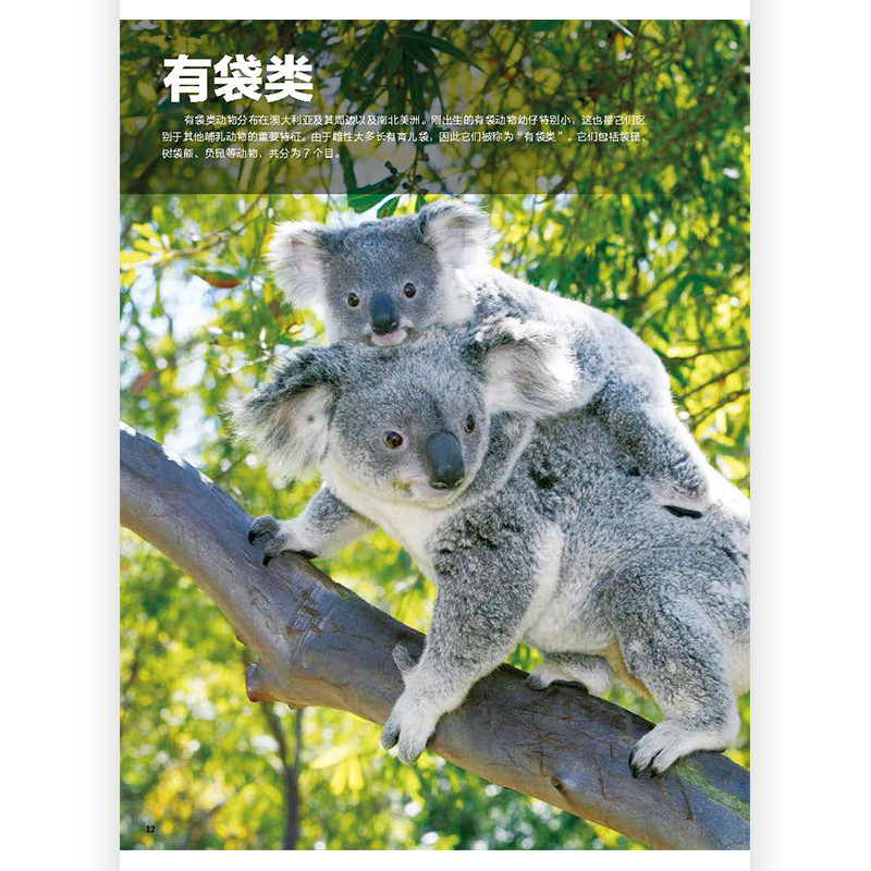 小学馆大百科哺乳动物 [正版] 小学馆大百科哺乳动物 730多种动物百科少儿科普百科高清大图