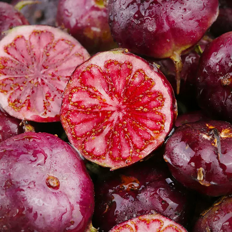 西沛更多水果报价_参数_图片_视频_怎么样_问答-苏宁易购