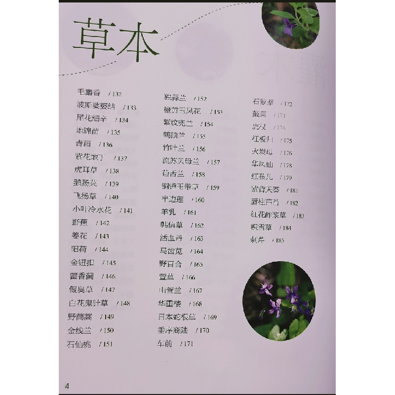 醉染图书草木南粵(山野篇)9787535972859高清大图