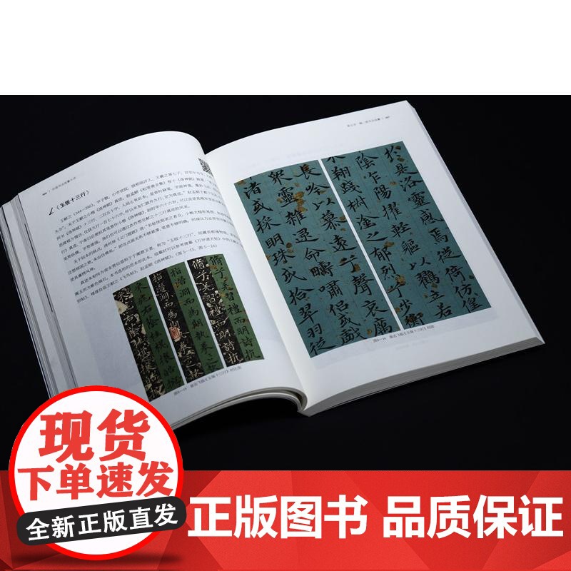 [随书附赠全套临摹视频]中国书法临摹十讲 临摹大咖翁志飞35年书法实临经验秘笈上海书画出版社书法技法史解析历代碑帖临摹精高清大图