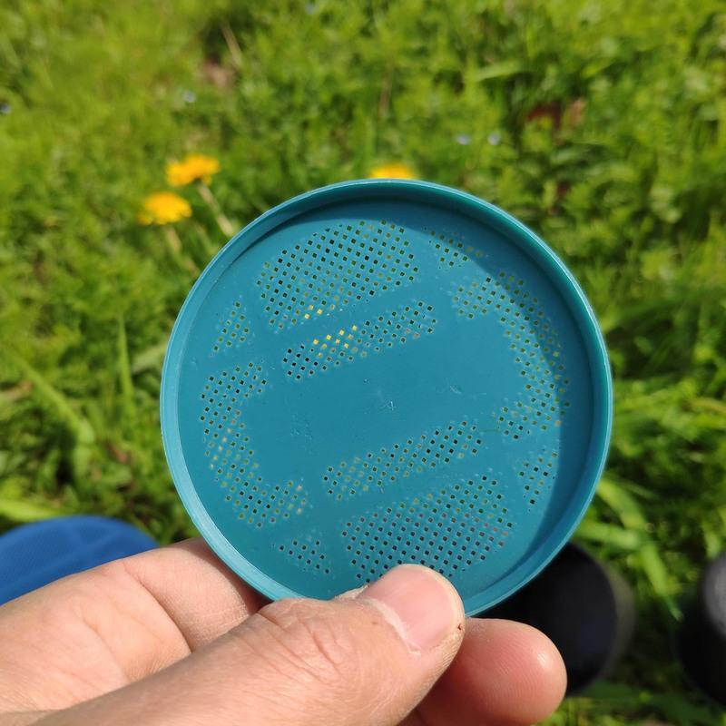 小号74x50mm500套蚯蚓保鲜盒养殖场渔具店专用蚯蚓盒塑料透气蚯蚓盒