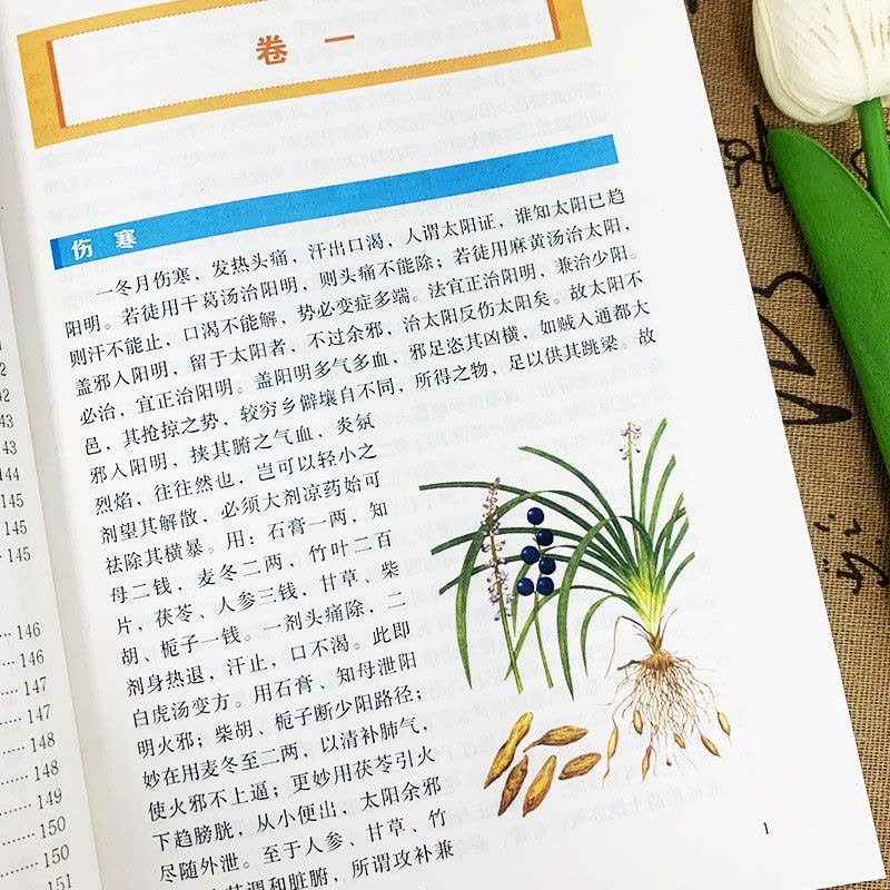 辨证奇闻 [正版]辨证奇闻辨证录中医非物质文化遗产临床经典读本陈士铎医学思想临证治验中医秘方验方外经微言本草新编辨证奇闻图片