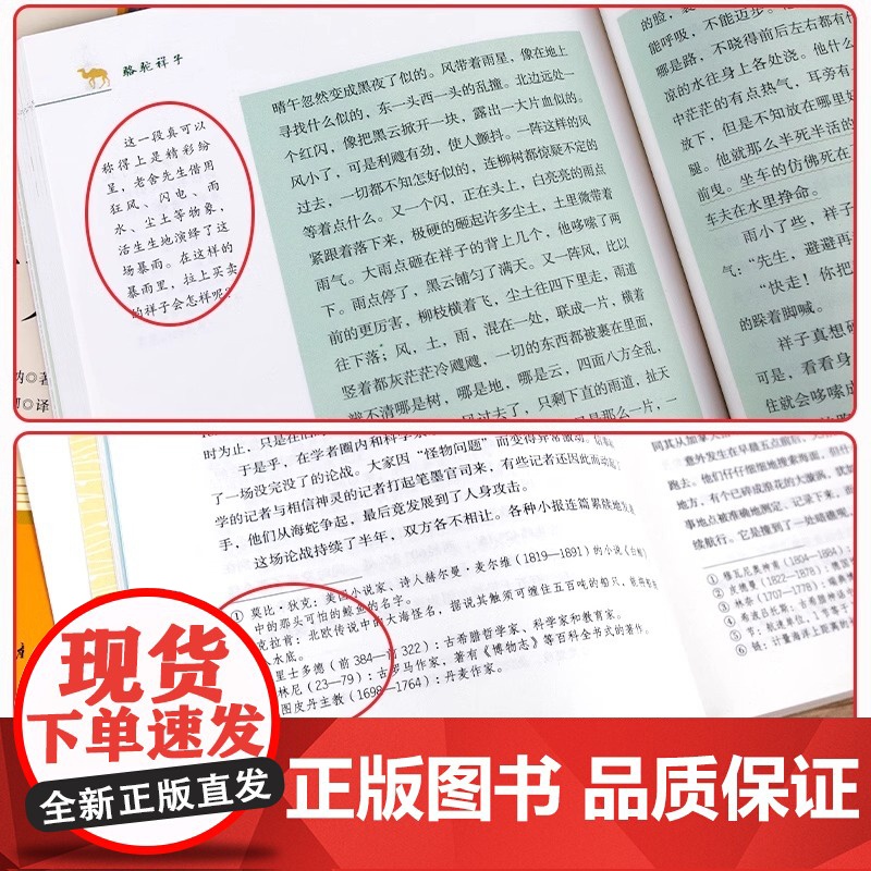 正版原著骆驼祥子钢铁是怎样炼成的全套七年级下册套装人民教育出版社人教版初中初一课外阅读书名著配套书目海底两万里必读高清大图