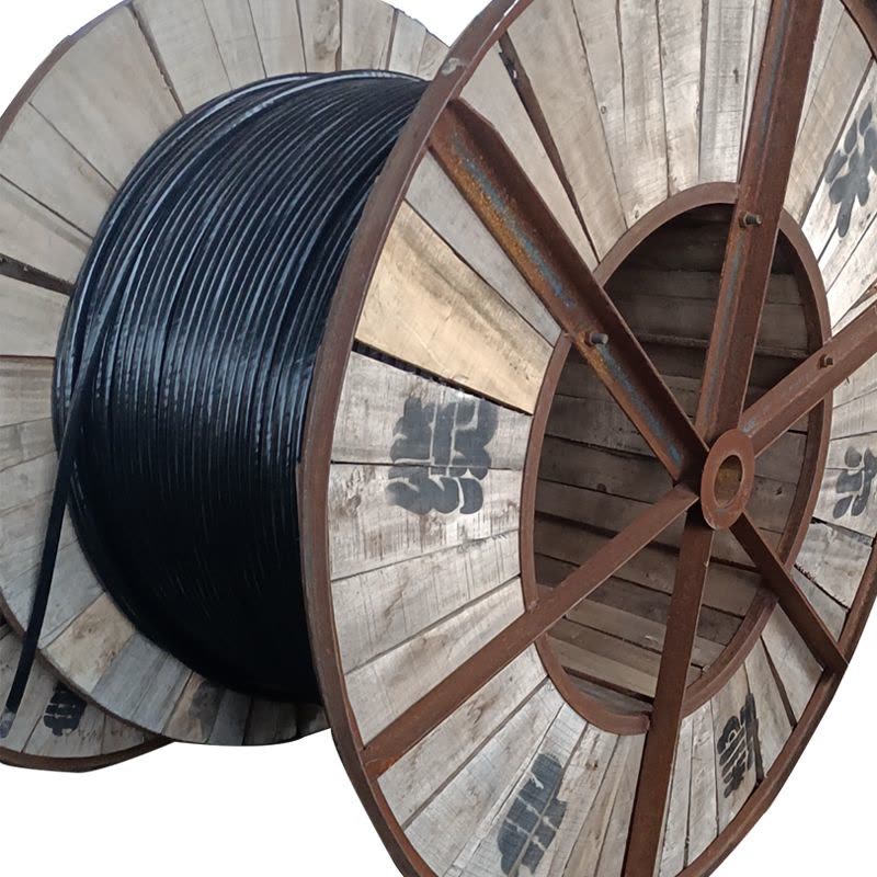 沃尔德电缆 橡套电缆 YC 450/750V 2*6图片