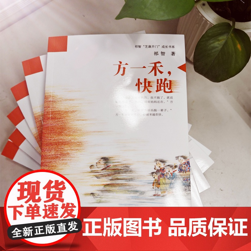祁智芝麻开门成长书系:方一禾,快跑高清大图
