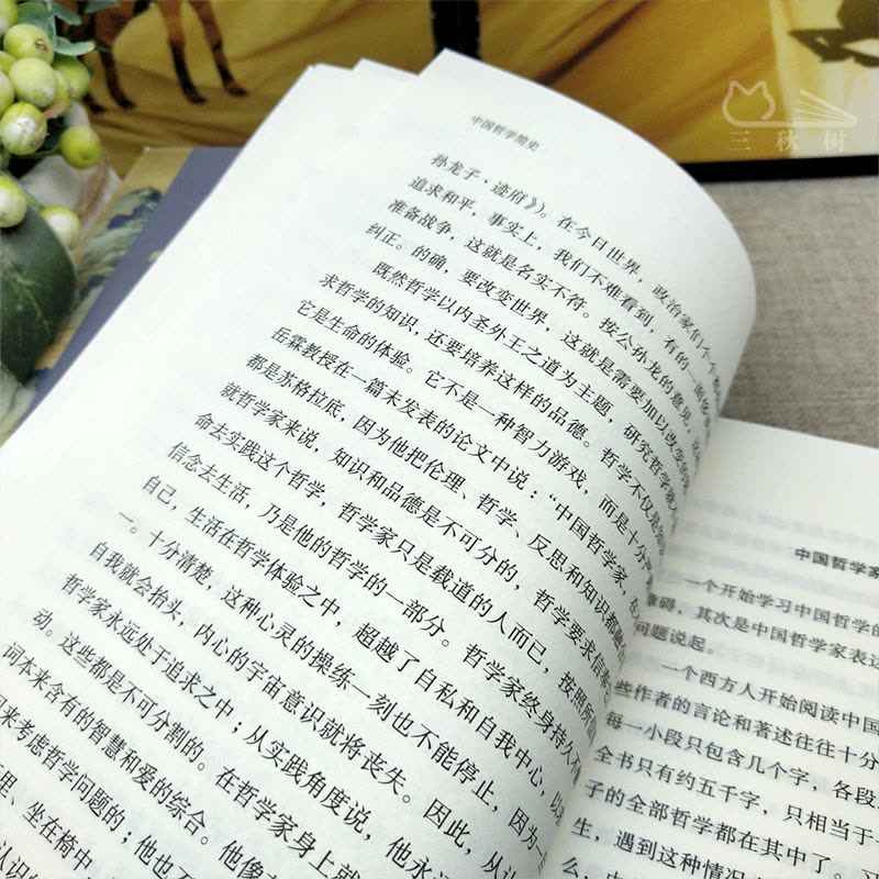 [正版]中国哲学简史 冯友兰原版 赵复三译 中国古代哲学简史 国学经典书籍 中庸哲学东方易经道德经论语周易中国哲学史 长图片