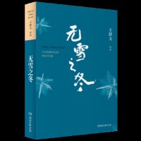 [正版]无雪之冬 王跃文经典中短篇小说集 日常生活现场的多维人性透视 一部关于世间百态 人生世相的沉思录 新华书店