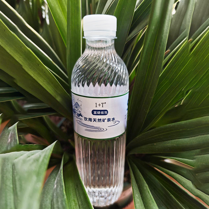 1+T 富锶低氘饮用天然矿泉水 500ml*24瓶/箱高清大图