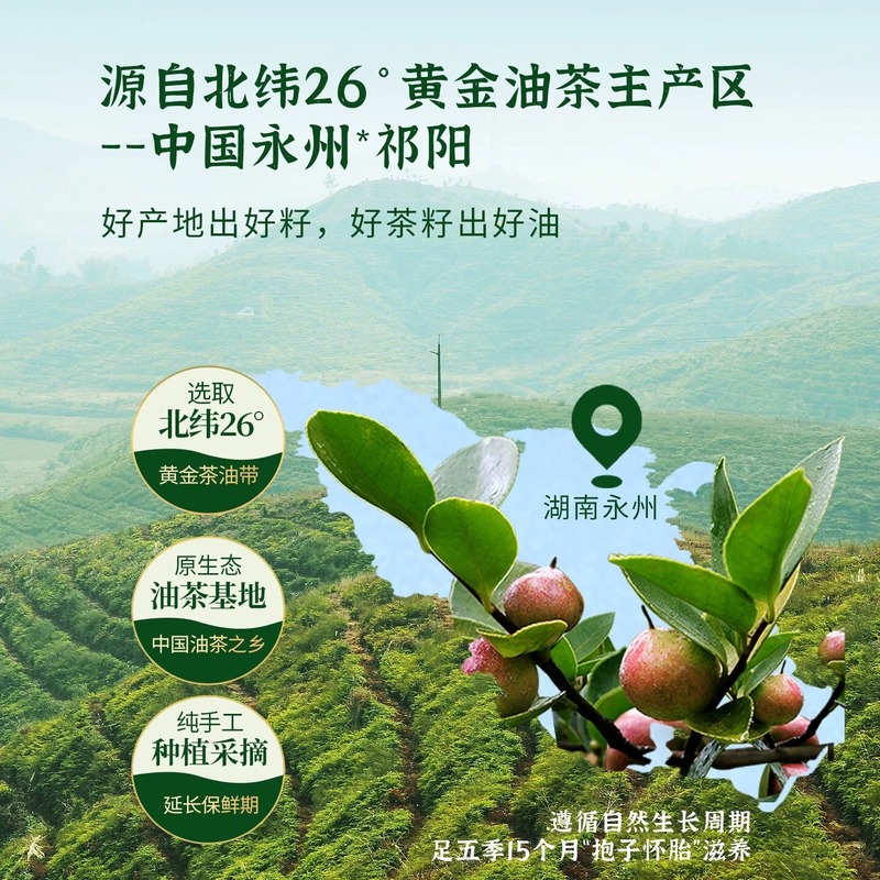 金浩 茶鲜生有机鲜式茶油5L礼盒高清大图