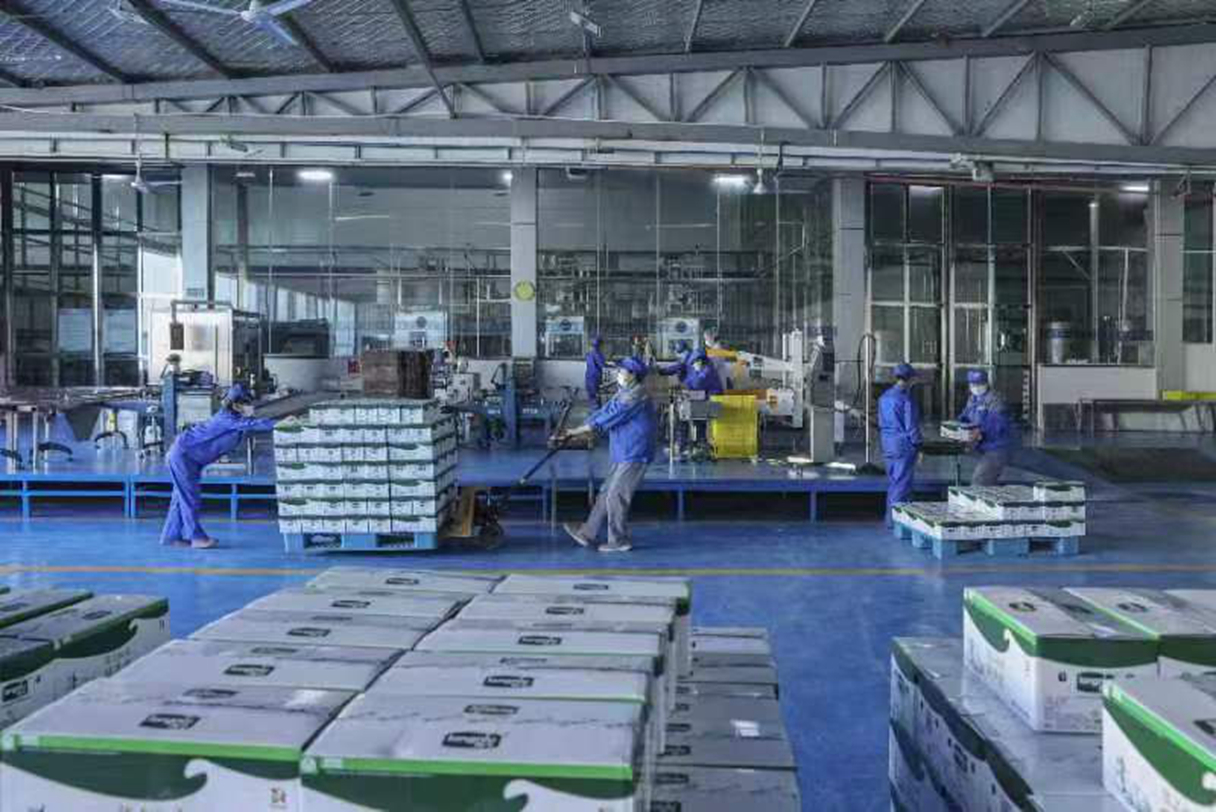 陇牛纯牛奶200ML*20盒高清大图