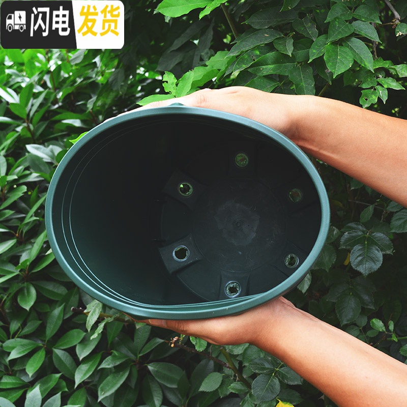 三维工匠矮胖加仑盆二代 加厚塑料花盆北欧简约月季绿萝大号花盆创意 个性 [5个装]军绿色20矮胖(不含托)买10花盆容器高清大图