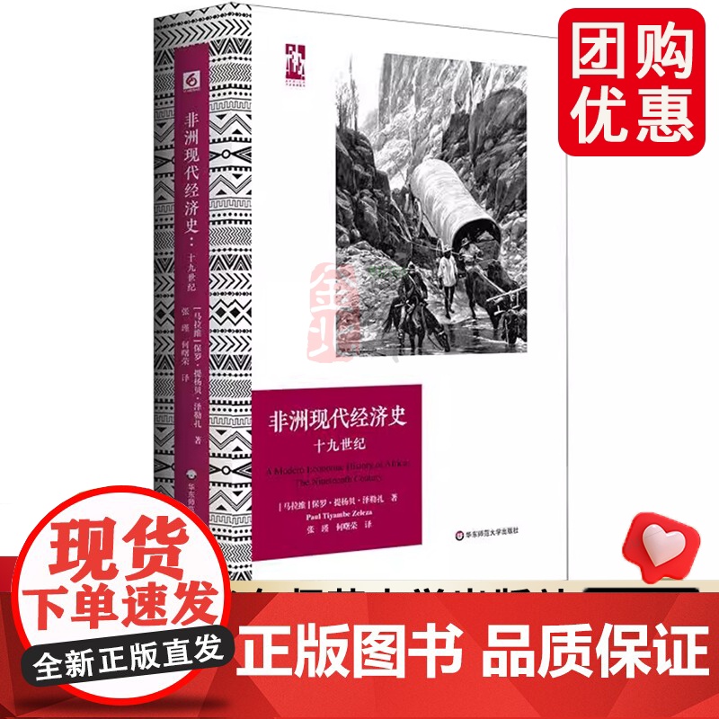 非洲现代经济史 十九世纪 六点非洲系列 精装 非洲历史研究 华东师范大学出版社