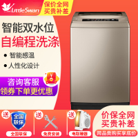 小天鹅（LittleSwan）TB100-1368G 10公斤全自动波轮洗衣机 自编程洗涤 家用大容量