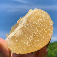 [西沛生鲜]新鲜葡萄柚 当季新鲜葡萄柚子 净重4.5斤 单果300-700g 新鲜水果
