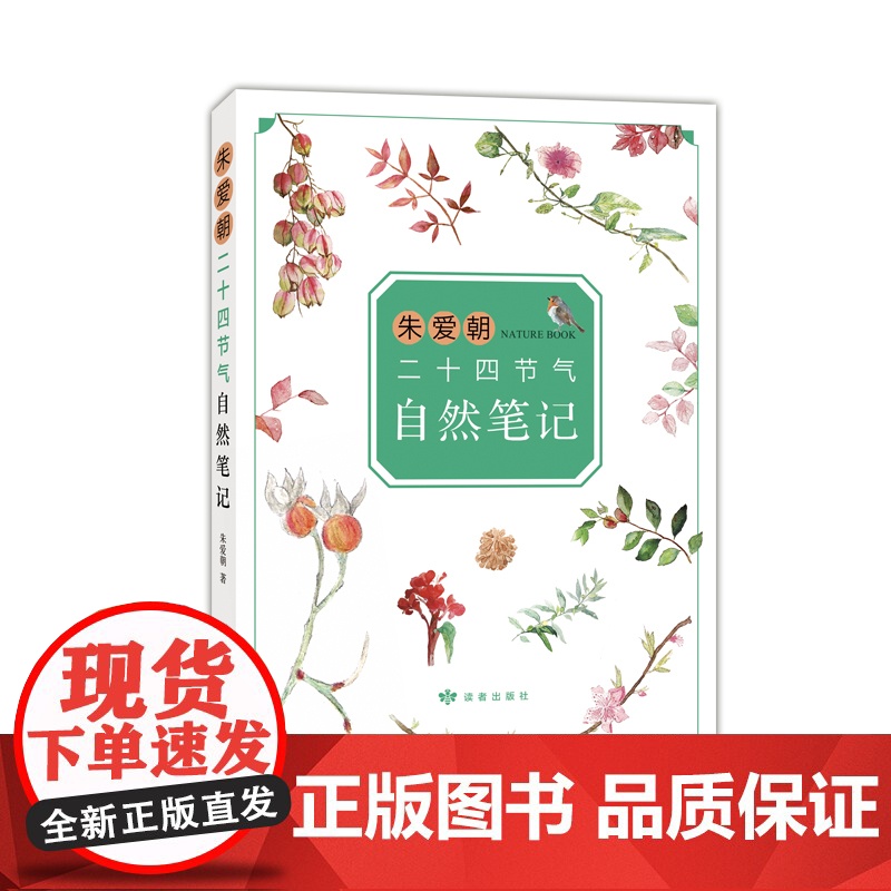 朱爱朝二十四节气自然笔记 马云 二十四节气 自然观察 小学生书目 课外阅读 7-10岁高清大图