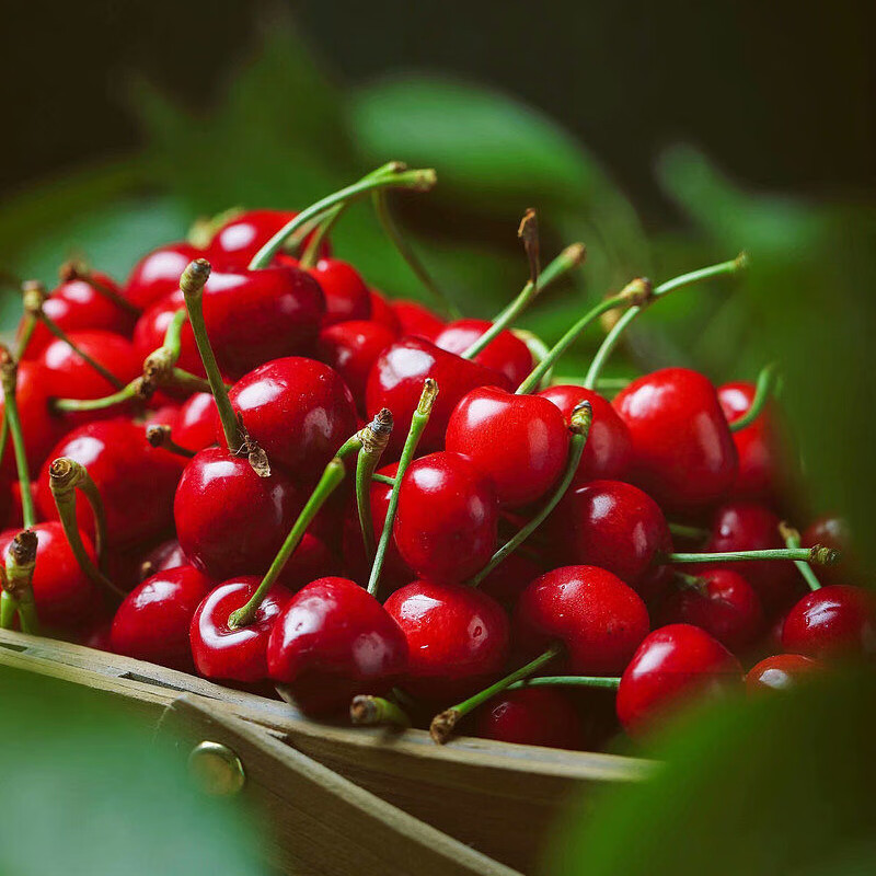 企采严选山东特产大樱桃露天樱桃酸甜可口新鲜孕妇水果精选25斤约2226