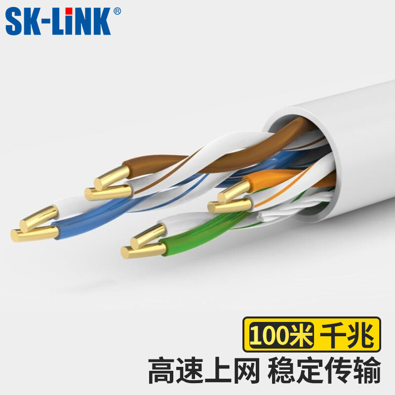 SK-LINK 超五类网线CAT5e类[0.5±0.02mm无氧纯铜线芯]SK-C510-100