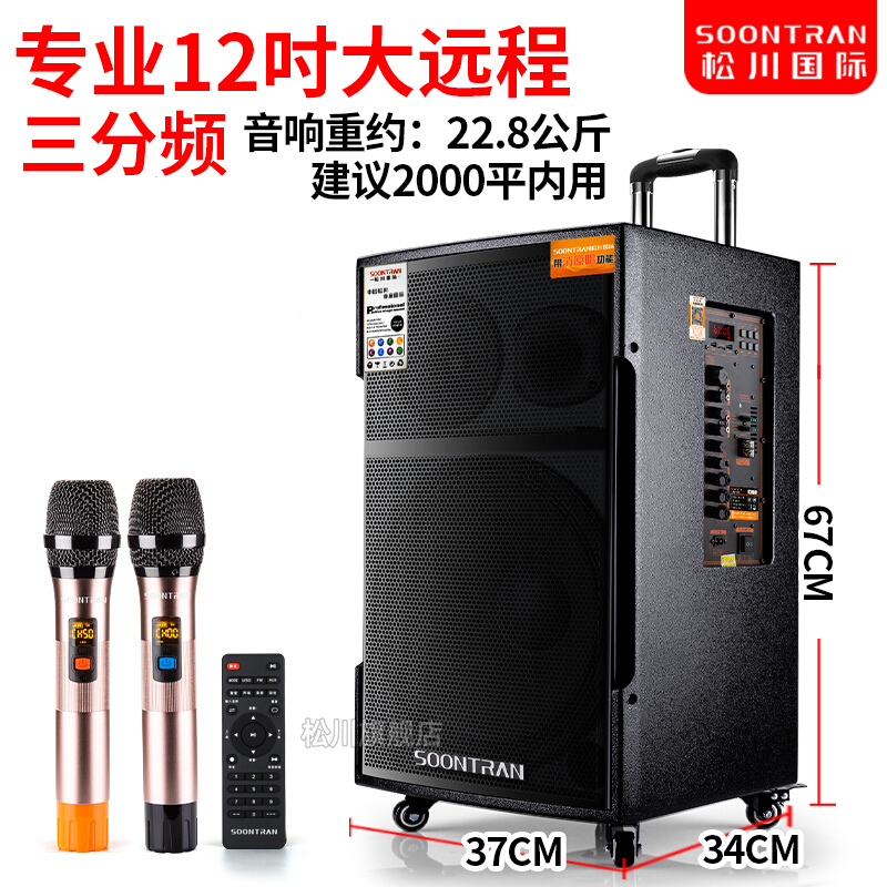 山水(SANSUI) 升级松川SG3-12户外音响广场舞音箱移动拉杆舞台专业音箱大功率无线蓝牙话筒木质音响12英寸