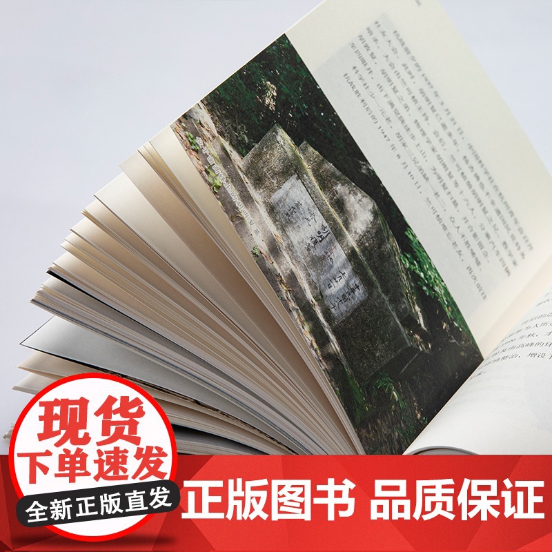 [正版]烟霞散记 用225幅图片30篇文字记录杭州南山烟霞古洞历史文化 领略西湖烟霞风貌轻读本当代随笔散文作品集游记图书高清大图