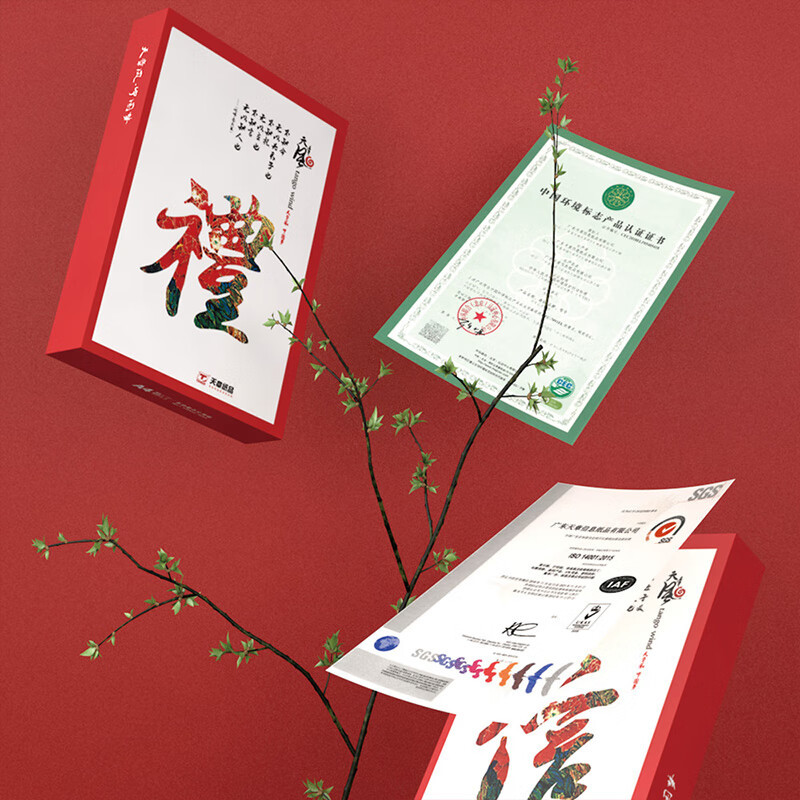天章风A4纸打印纸 70g 500张*8包 双面打印复印纸 /箱