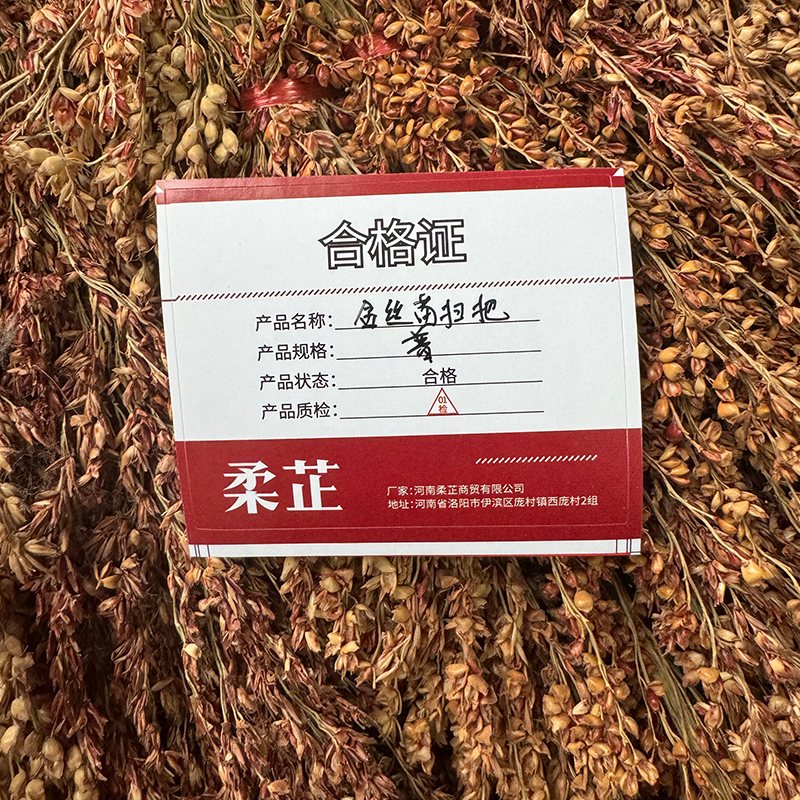 柔芷 金丝苗扫把 普 个高清大图