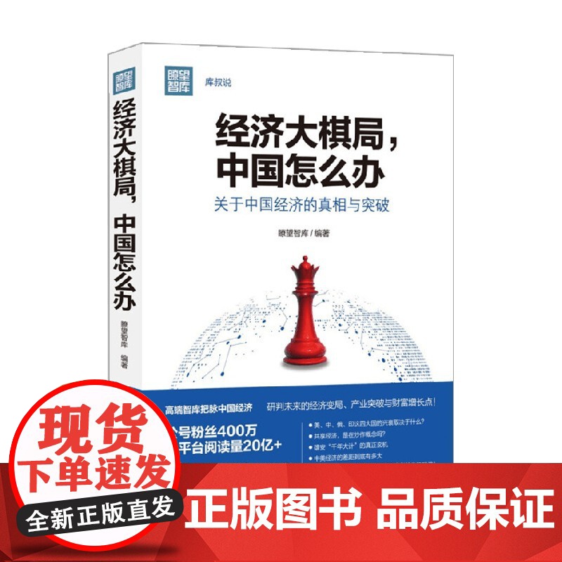 经济大棋局 中国怎么办 瞭望智库 著 经济高清大图